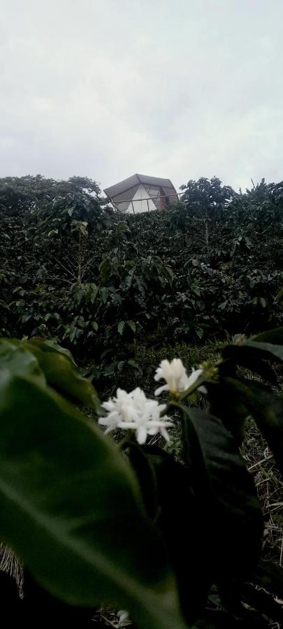Glamping Orosierra Hotel Chinchiná Exterior foto